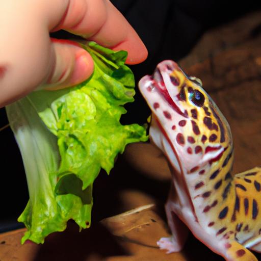 Potential Benefits of Lettuce for Geckos