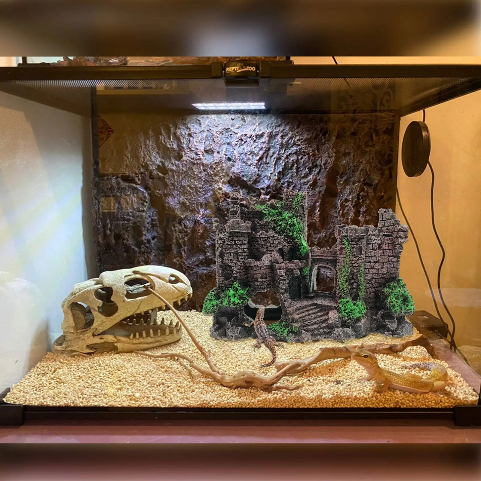 How to Lower Humidity in Your Gecko Tank