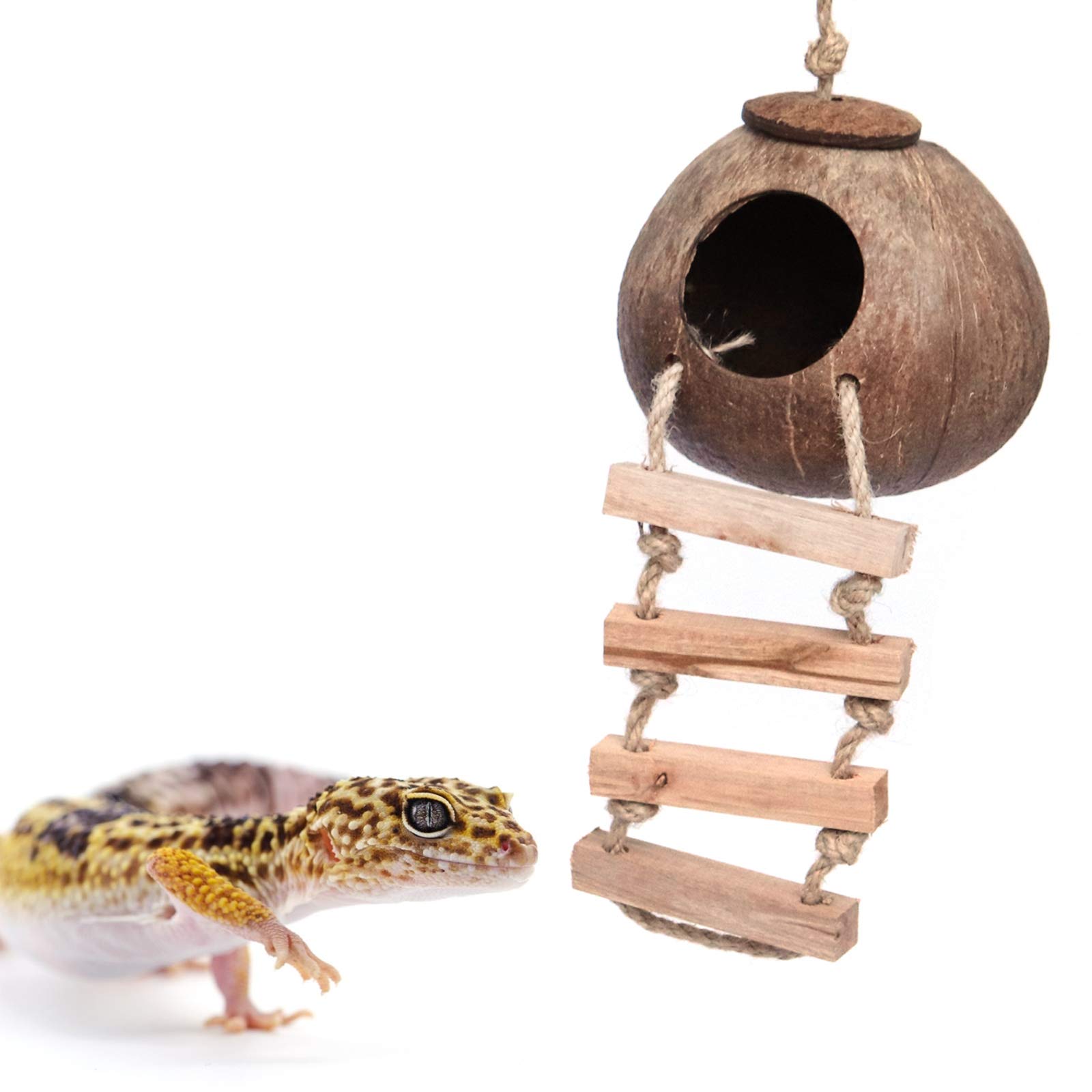Is Coconut Fiber Good for Leopard Geckos