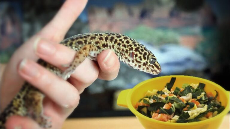 What Vegetables Can Leopard Geckos Eat? A Nutritional Guide